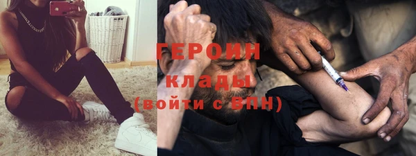 прущие грибы Алзамай