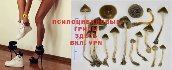 каннабис Алексеевка