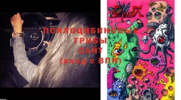 прущие грибы Алзамай
