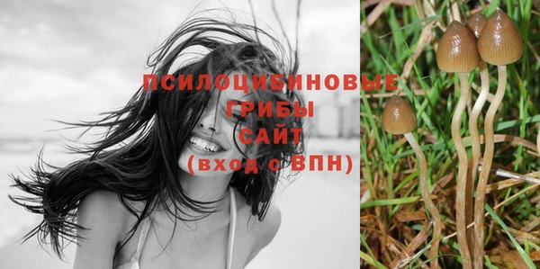 индика Карталы