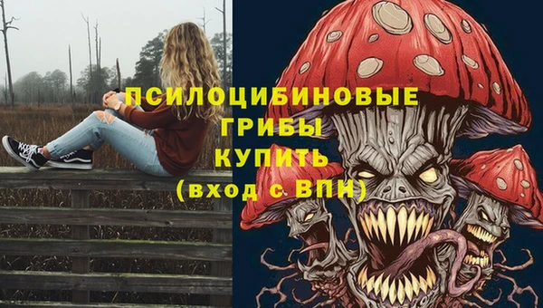 молекула духа Алексин