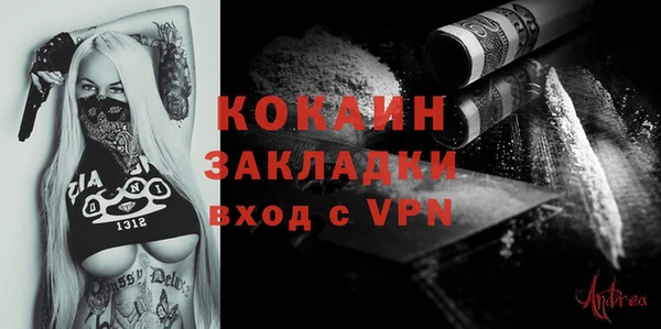 стаф Касимов