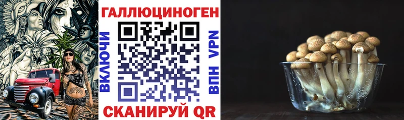 купить   Долинск  Галлюциногенные грибы MAGIC MUSHROOMS 