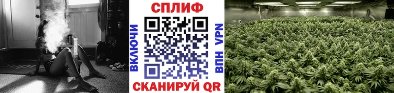 Бошки марихуана White Widow  Долинск 